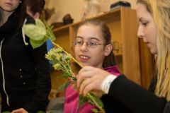 abi2014012