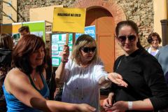 abi2015081